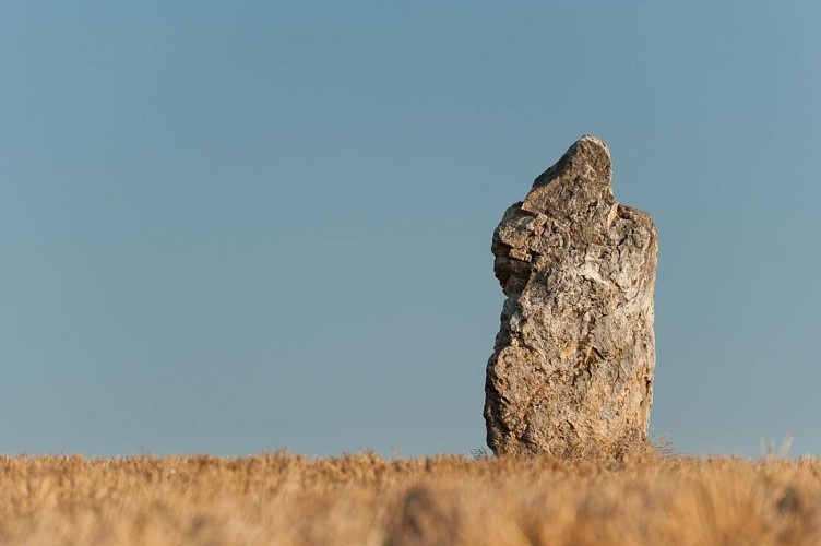 Les mégalithes de Lampouy