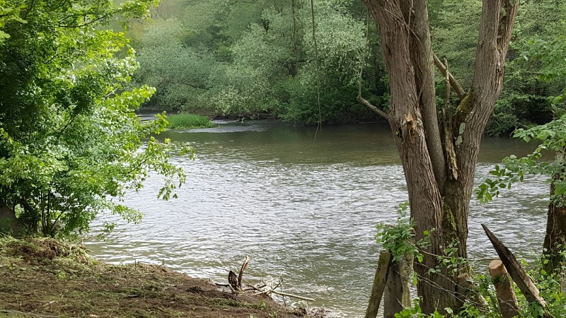 AAPPMA La Suisse Normande société de pêche