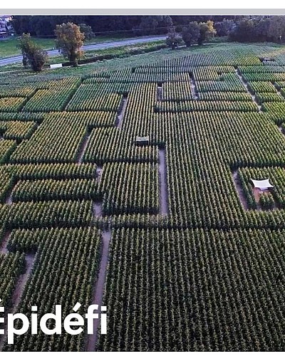 labyrinthe Epidefi