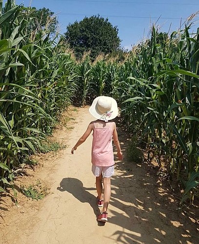 Aventurière Epidéfi