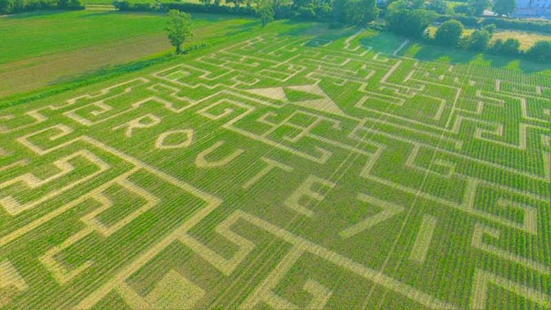 Labyrinthe Epidéfi Route 71 - 2023