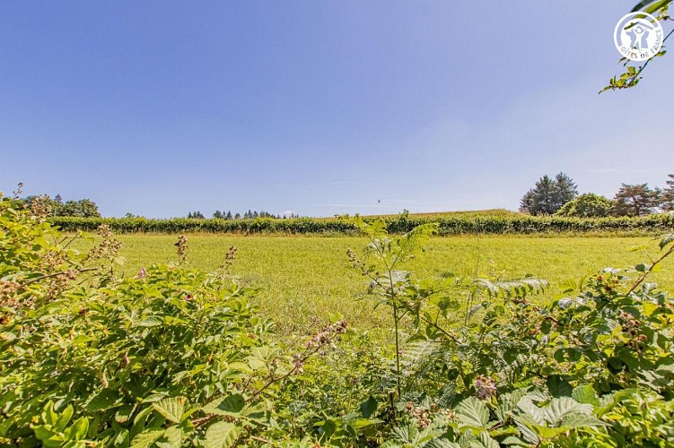 Un Jour à la Campagne