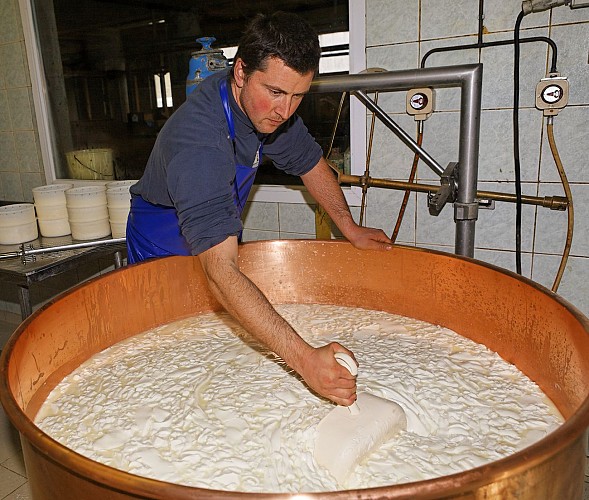 Production de fromage à la ferme