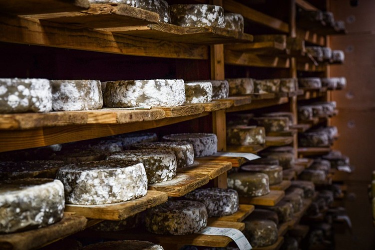 Production de fromage à la ferme
