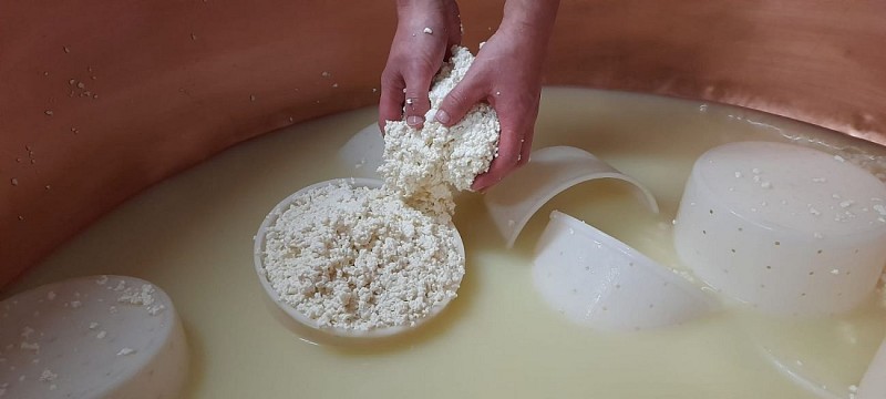 Produzione di formaggio in azienda