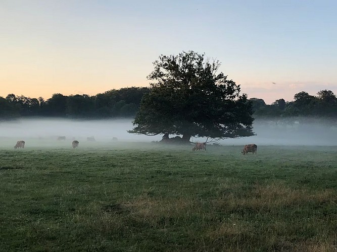 Cottage N°2 - Saint Pardoux les Cards - Vue sur la campagne