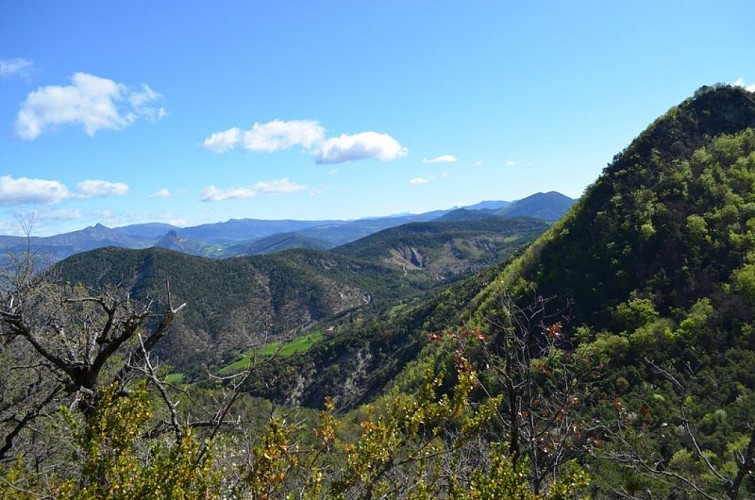 Vallée du Rosanais et Préalpes