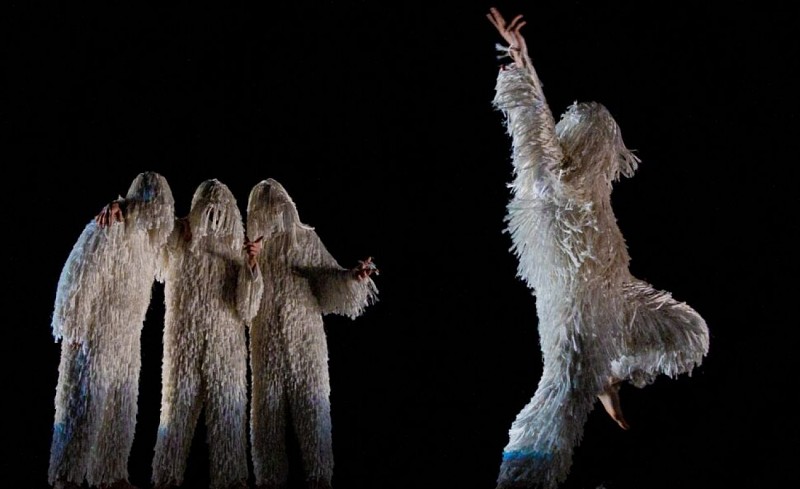 A4 (comme la feuille) - Chicos Mambo