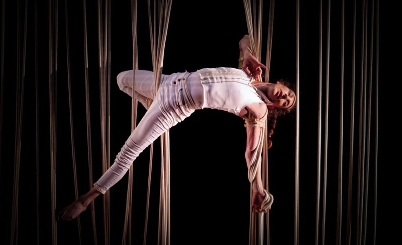 De corps et de cordes - Compagnie du Trépied