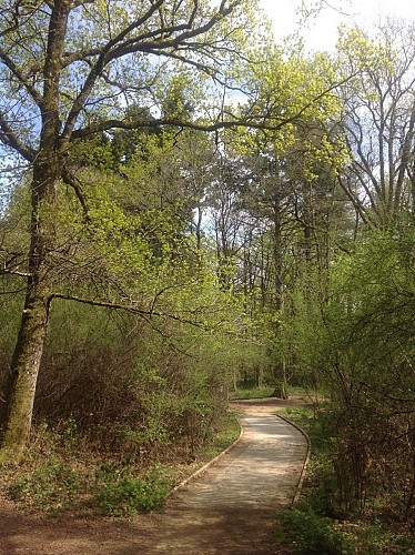 Rivière souterraine