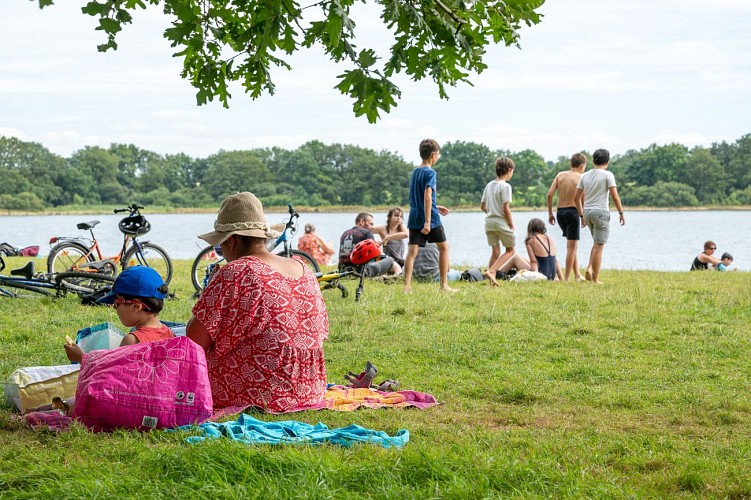 Lac de Vioreau - Joué-Sur-Erdre