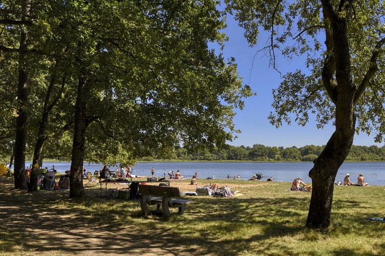 Lac de Vioreau - Joué-Sur-Erdre