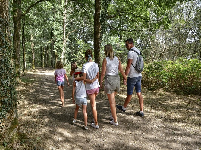 Lac de Vioreau - Joué-Sur-Erdre