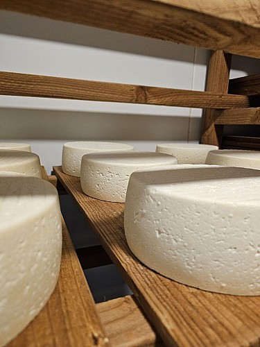 La Ferme des Belles Bêtes