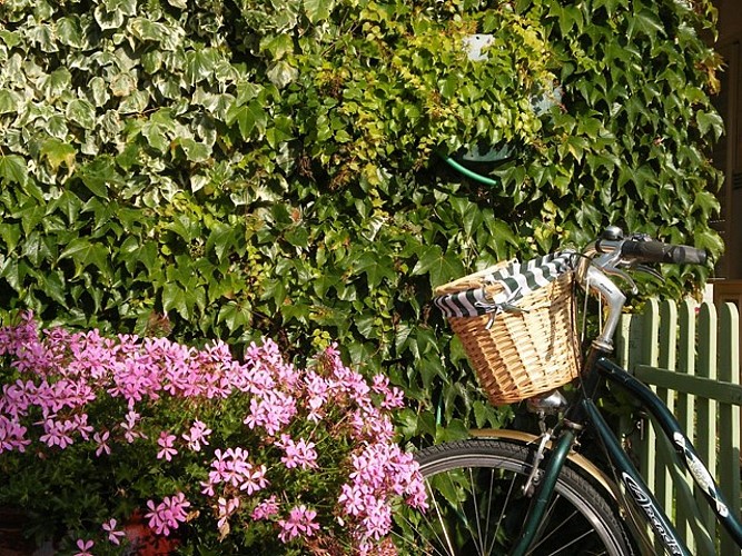 LE CLOS DES ROSIÈRES