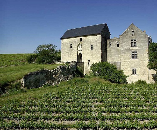 Château de Berrye - Domaine Viticole