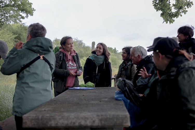 Observer les oiseaux avec Myriam en Calestienne