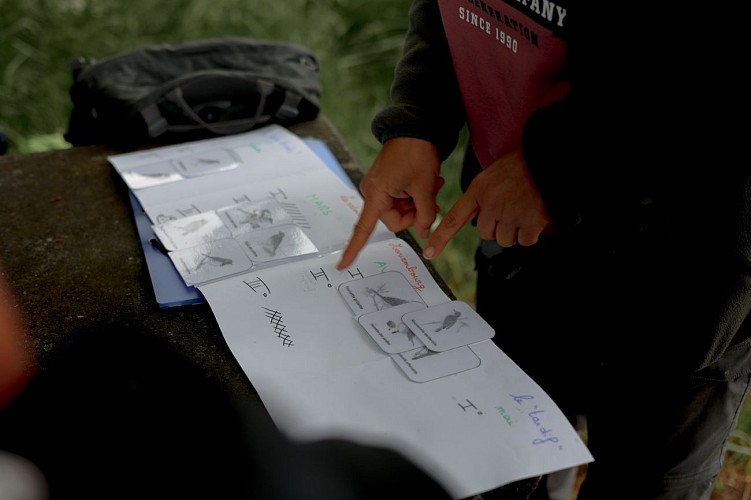 Observer les oiseaux avec Myriam en Calestienne