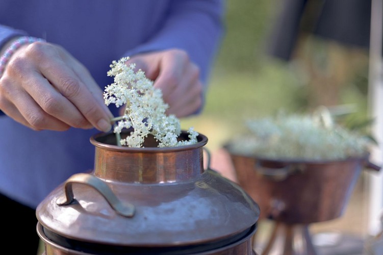 Créez vos eaux florales avec Isabelle