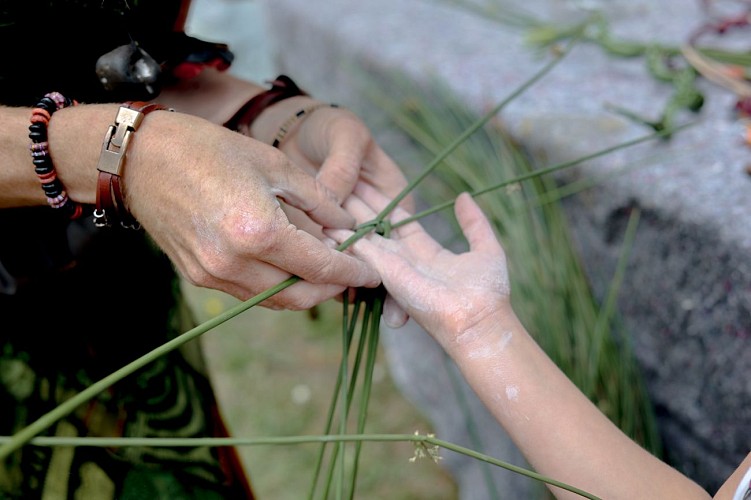 Cuisiner les plantes avec Carabistouille, la sorcière des haies