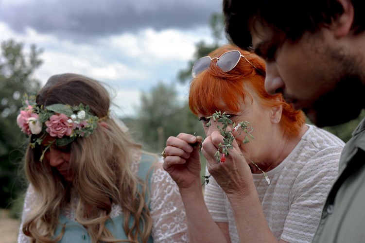 Balade contée sur les plantes et légendes locales avec Amande Art