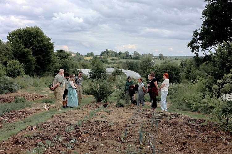 Balade contée sur les plantes et légendes locales avec Amande Art
