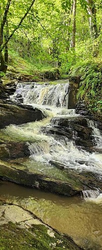 La cascade au bas du gîte_2