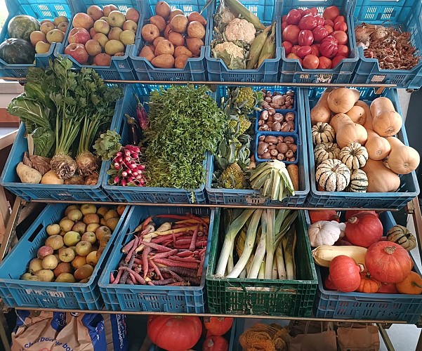 Lejardinsecretdejill3