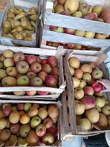 Lejardinsecretdejill2