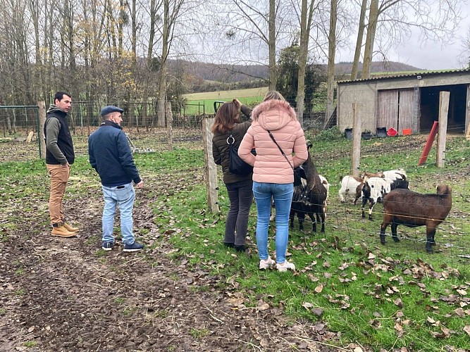 260402665_238419665048251_3301651619679009348_n