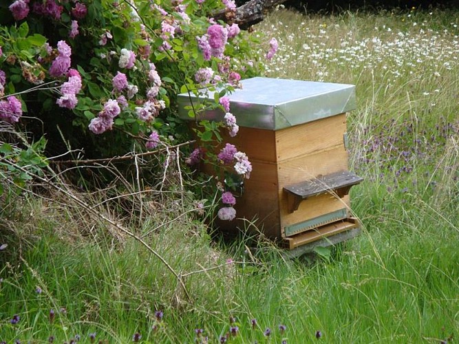 De la Fleur au Miel - Hilsprich