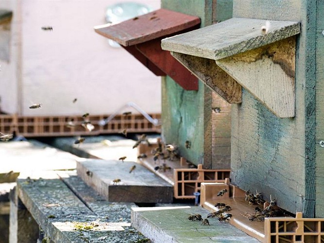 De la Fleur au Miel - Hilsprich