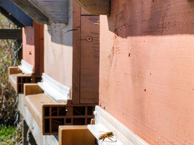 De la Fleur au Miel - Hilsprich