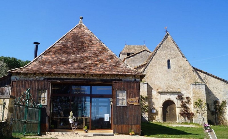 278569999_101580962545987_4031905179072359100_n