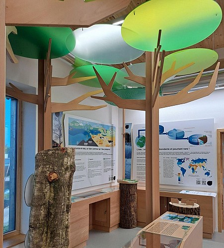 Salle thématique eau et forêt