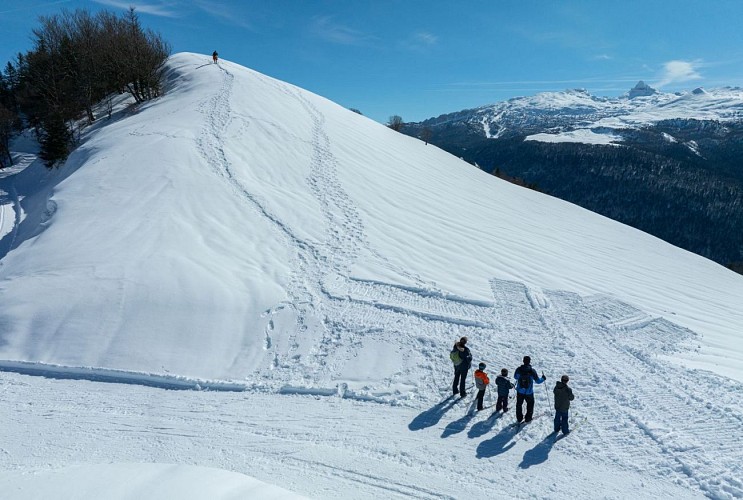 Ski de fond en famille sur le domaine d'Issarbe