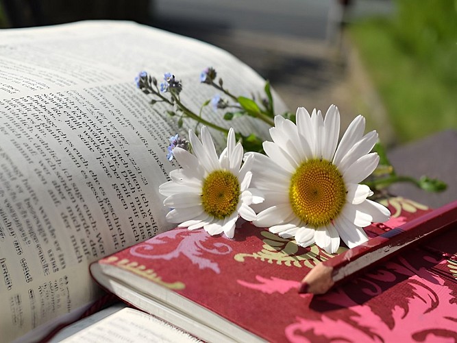 Au bord des mots library