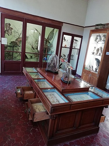 Musée des Comtes de Provence