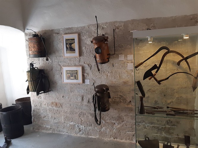 Musée des Comtes de Provence