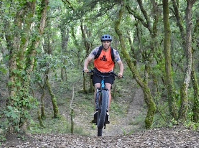 Capsport - trottinette 2 - redimmensionnée