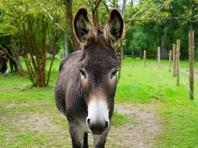 Dancourt Ferme Far West (13)