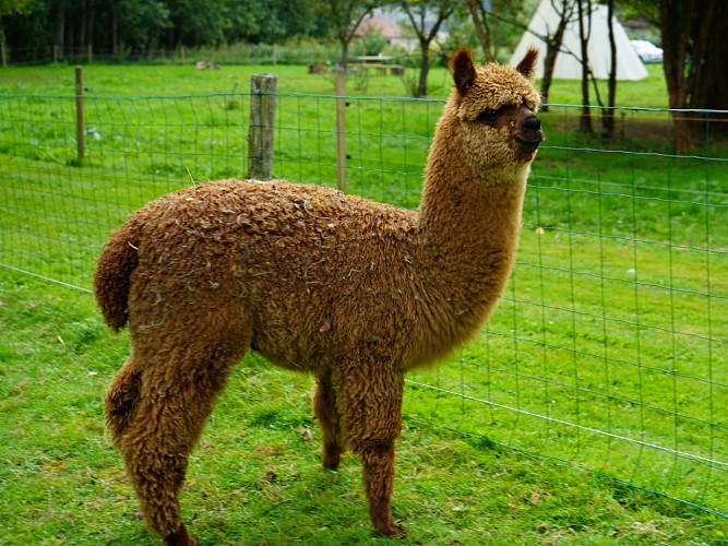 Dancourt Ferme Far West (14)