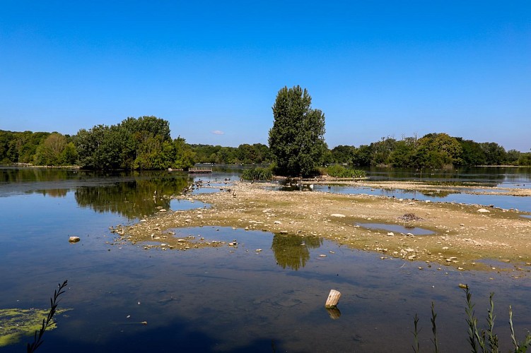 Lac de l'Arbalète