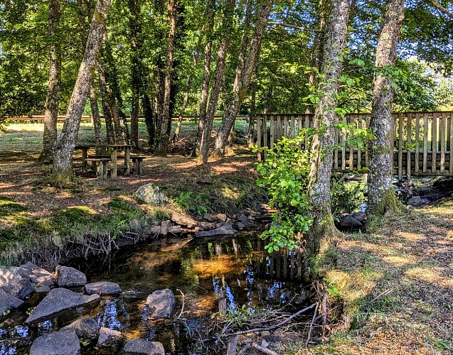 Aire de Pique-nique-Madranges ©M Clavaud (1)