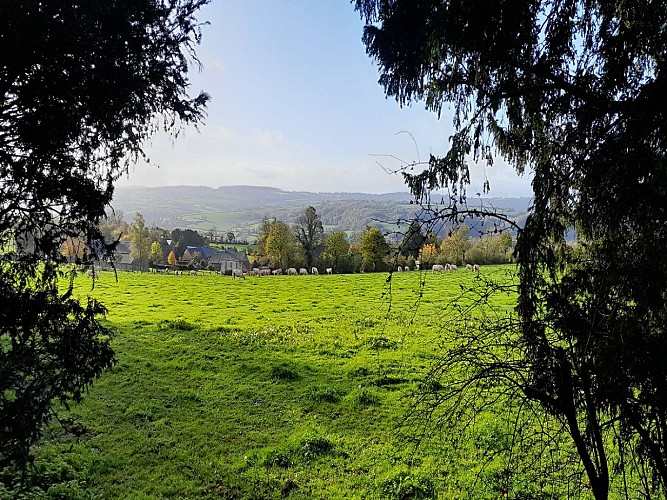 vue-à-travers-la-haie