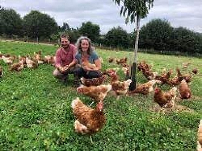 les volailles de la dehairie 3