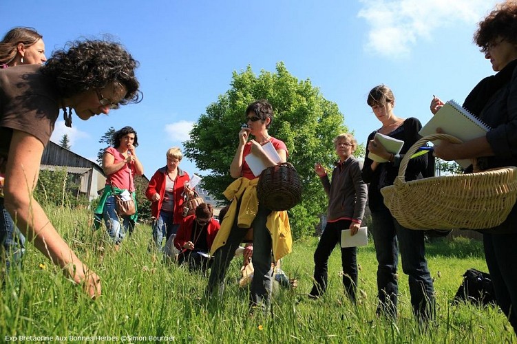 auxbonnesherbes bais