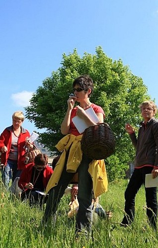 30bais-Exp.-Bretonne-aux-bonnes-herbes-©-photos-Simon-Bourcier (2)