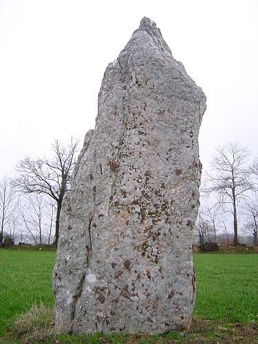 Menhir de la Pierre Blanche Pocé-les-Bois 