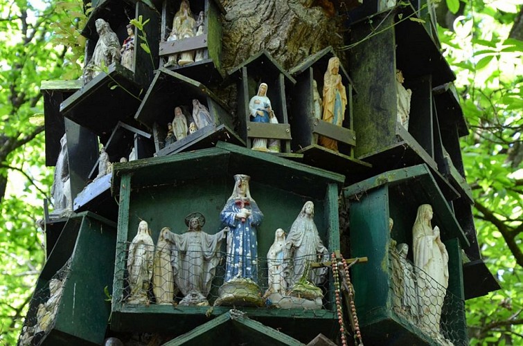 Le Chêne à la Vierge, forêt de La Guerche-de-Bretagne 3